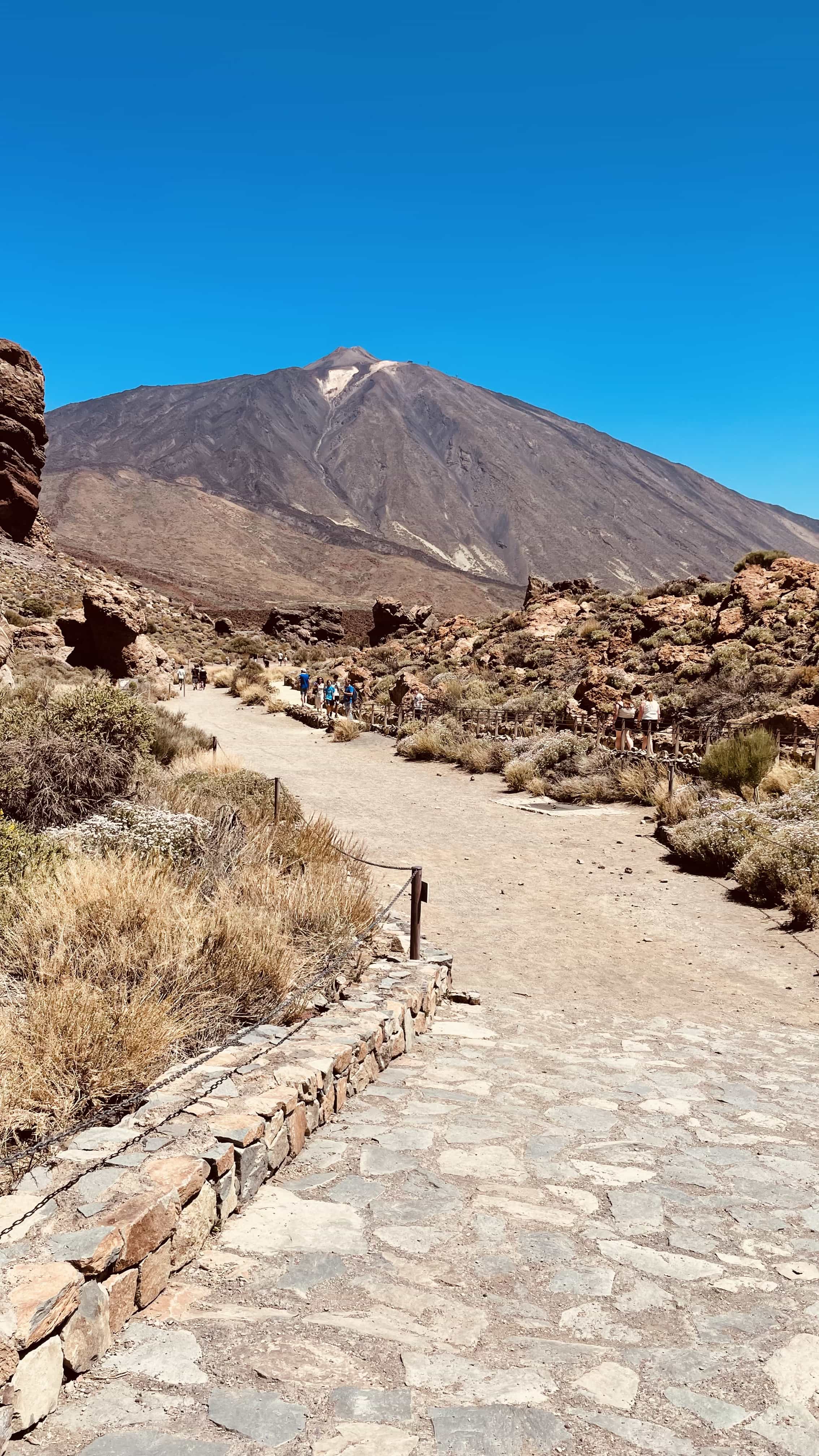 Path leading to Mount Teide, Tenerife